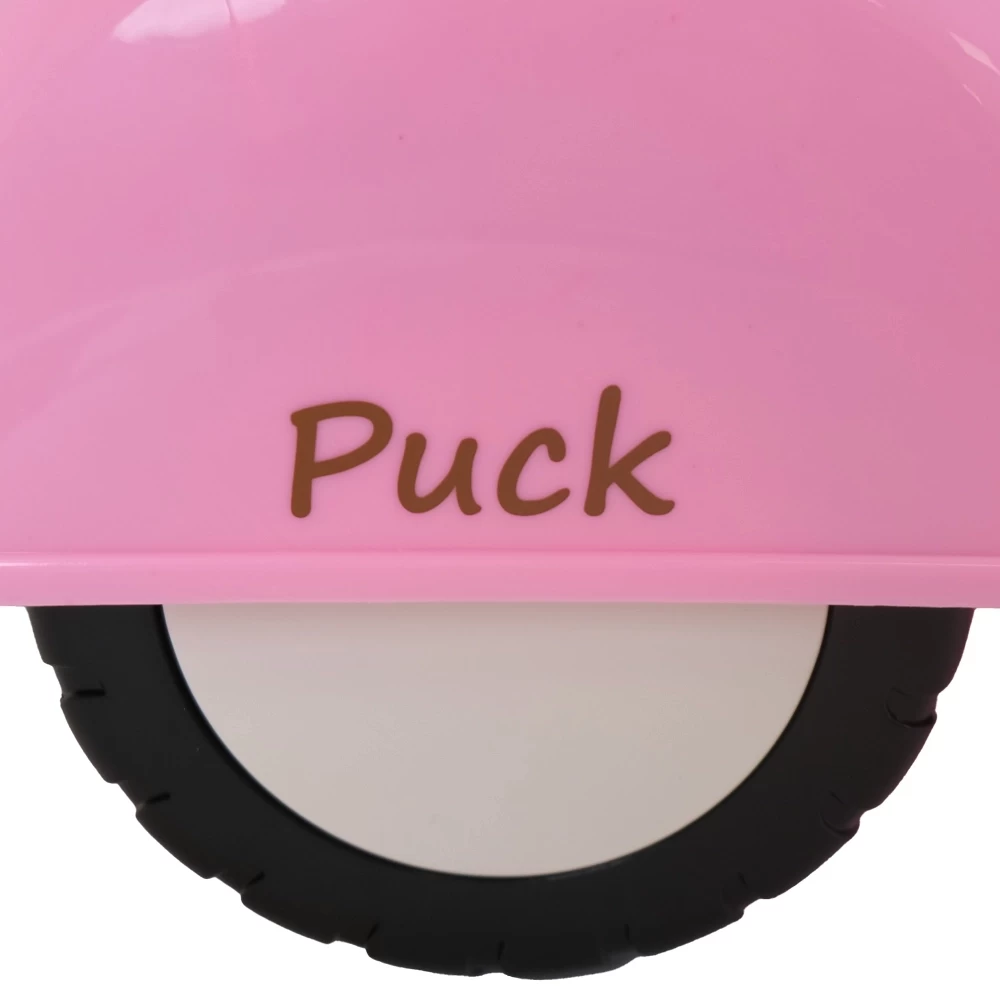  Stickerset bruin (2x) scooter roze