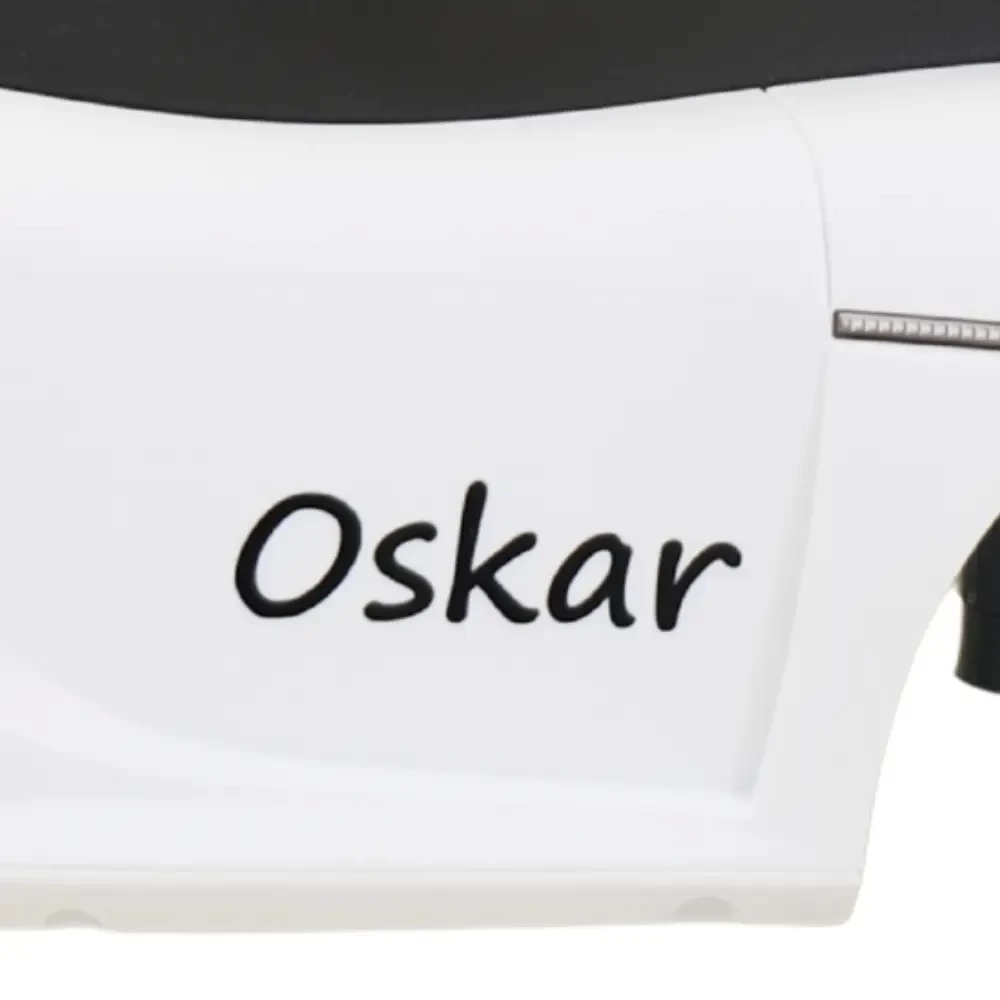  Stickerset zwart (2st) met eigen naam Porsche Carrera GT wit